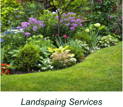 Landspaing Services